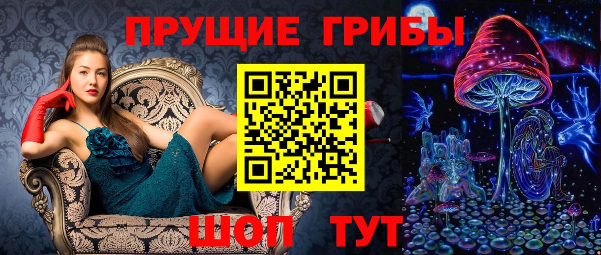 Сердобск  Псилоцибиновые грибы MAGIC MUSHROOMS  Вход с VPN 