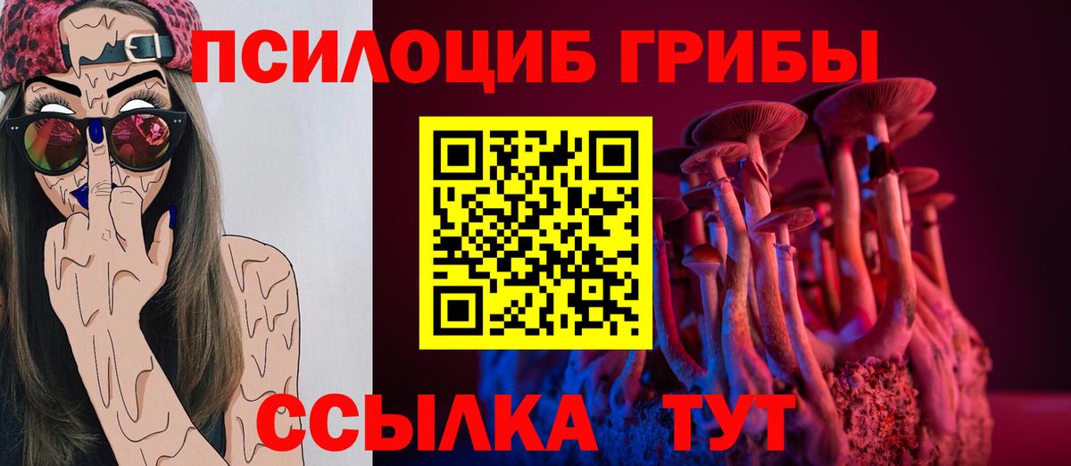 Псилоцибиновые грибы Cubensis Сердобск